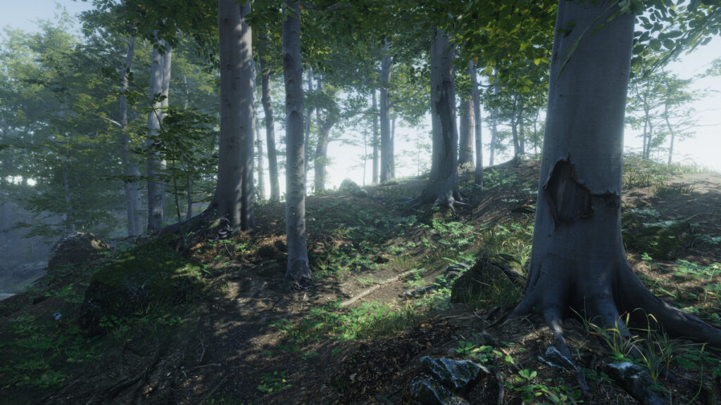 example of the type of forest environment you can create using this game asset